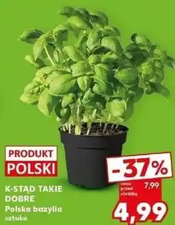 Kaufland K-STĄD TAKIE DOBRE Polska bazylia sztuka oferta