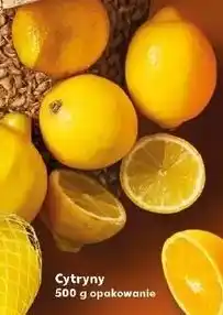 Kaufland Cytryny 500 g opakowanie oferta