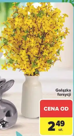 Carrefour Gałązka forsycji oferta