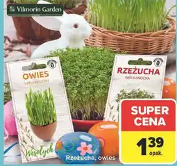 Carrefour Rzeżucha, owies oferta