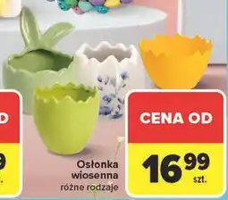 Carrefour Osłonka wiosenna różne rodzaje oferta