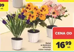 Carrefour Kwiat w doniczce sztuczny różne rodzaje oferta