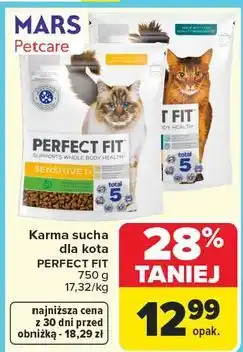 Carrefour Karma sucha dla kota Perfect Fit oferta