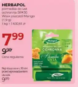 Jawa Drogerie Herbapol pomadka do ust oferta