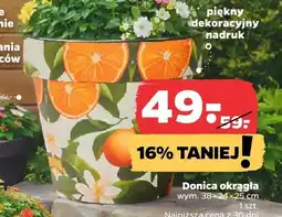 Netto Donica okrągła oferta