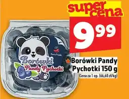 Topaz Borówki Pychotki oferta