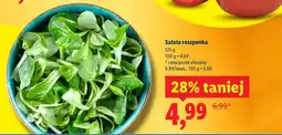 Lidl Sałata roszponka oferta