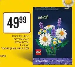 Dino Klocki Botanicals Stokrotki oferta
