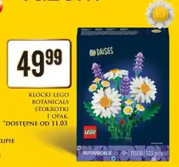 Dino KLOCKI LEGO BOTANICALS STOKROTKI oferta