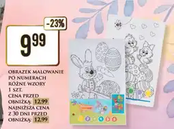 Dino OBRAZEK MALOWANIE PO NUMERACH RÓŻNE WZORY 1 SZT oferta