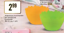 Dino POJEMNIK PLASTIKOWY NA RZEŻUCHĘ oferta