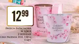 Dino Świeca zapachowa w szkle oferta