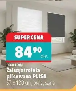 Biedronka Żaluzja/roleta plisowana PLISA oferta