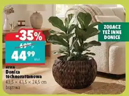 Biedronka Donica technorattanowa oferta