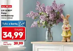Kaufland LIV & BO Zając wielkanocny różne rodzaje oferta