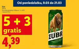 Lidl Piwo Żubr oferta