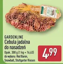 ALDI Cebula jadalna do nasadzeń oferta