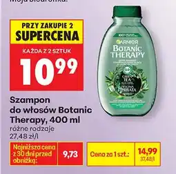 Biedronka Szampon do włosów Botanic Therapy różne rodzaje oferta