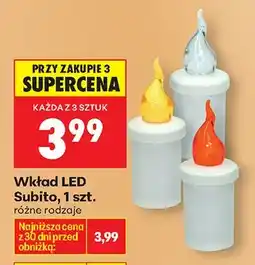 Biedronka Wkład LED Subito oferta