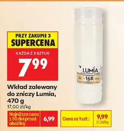 Biedronka Wkład zalewany do zniczy oferta