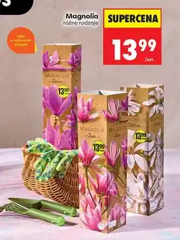 Biedronka Chusteczki higieniczne różne rodzaje oferta