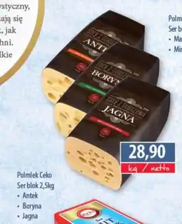 DUO-TES Polmlek Ceko Ser blok oferta