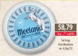 DUO-TES ka/netto Ser krag Kozi Meelania oferta