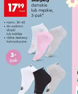 Biedronka Skarpety damskie lub męskie oferta