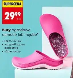 Biedronka Buty ogrodowe oferta