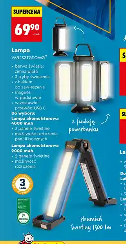 Biedronka Lampa warsztatowa oferta