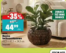 Biedronka Donica technorattanowa oferta