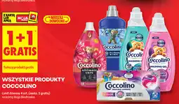 Biedronka Wszystkie produkty Coccolino oferta