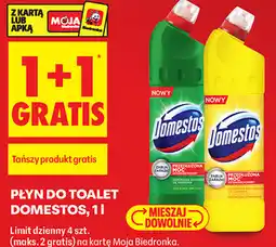 Biedronka Płyn do toalet Domestos oferta