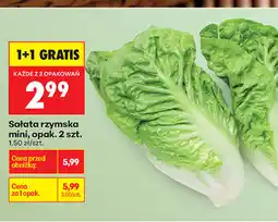 Biedronka Sałata rzymska mini, opak. 2 szt oferta