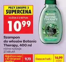 Biedronka Szampon do włosów Botanic Therapy oferta
