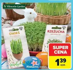Carrefour Market Rzeżucha, owies oferta