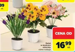 Carrefour Market Kwiat w doniczce sztuczny różne rodzaje oferta