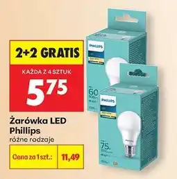 Biedronka Żarówka LED Phillips oferta