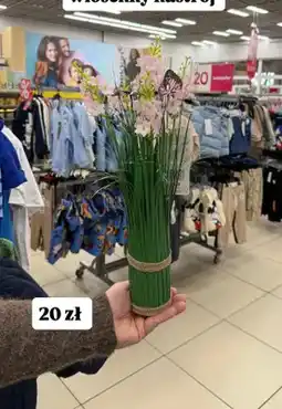 Pepco Sztuczne kwiaty wiosenne z motylkiem oferta