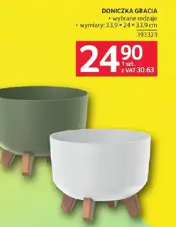 Selgros Doniczka Gracia oferta