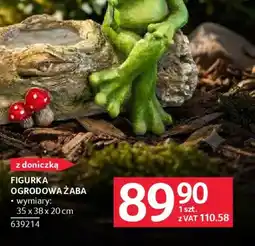 Selgros Figurka ogrodowa Zaba oferta