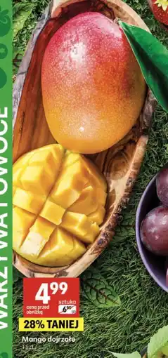 Delikatesy Centrum Mango dojrzałe oferta