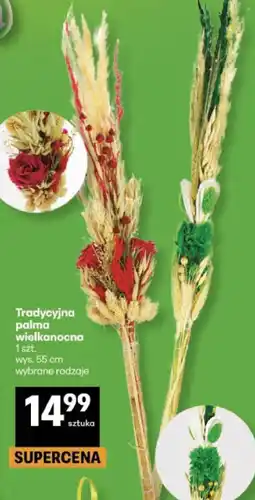 Delikatesy Centrum Tradycyjna palma wielkanocna wybrane rodzaje oferta