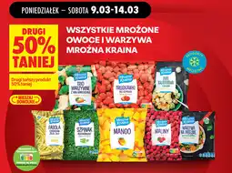 Biedronka Wszystkie mrożone owoce i warzywa Mroźna Kraina oferta