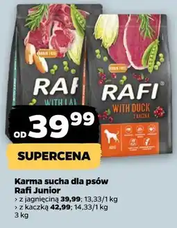 Netto Karma sucha dla psów Rafi Junior oferta