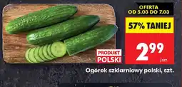 Biedronka Ogórek szklarniowy polski oferta