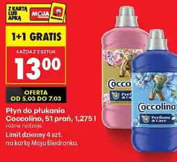 Biedronka Coccolino płyn do płukania oferta