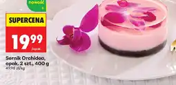 Biedronka Sernik Orchidea oferta