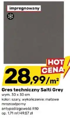 Bricomarche Gres techniczny Salti Grey oferta