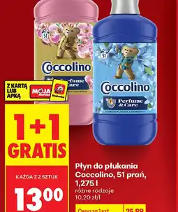 Biedronka Coccolino płyn do płukania oferta